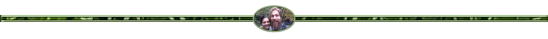 Alex and Ledis divder.png