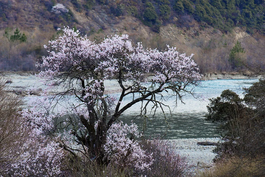 Adventures in Tibet 7.jpg