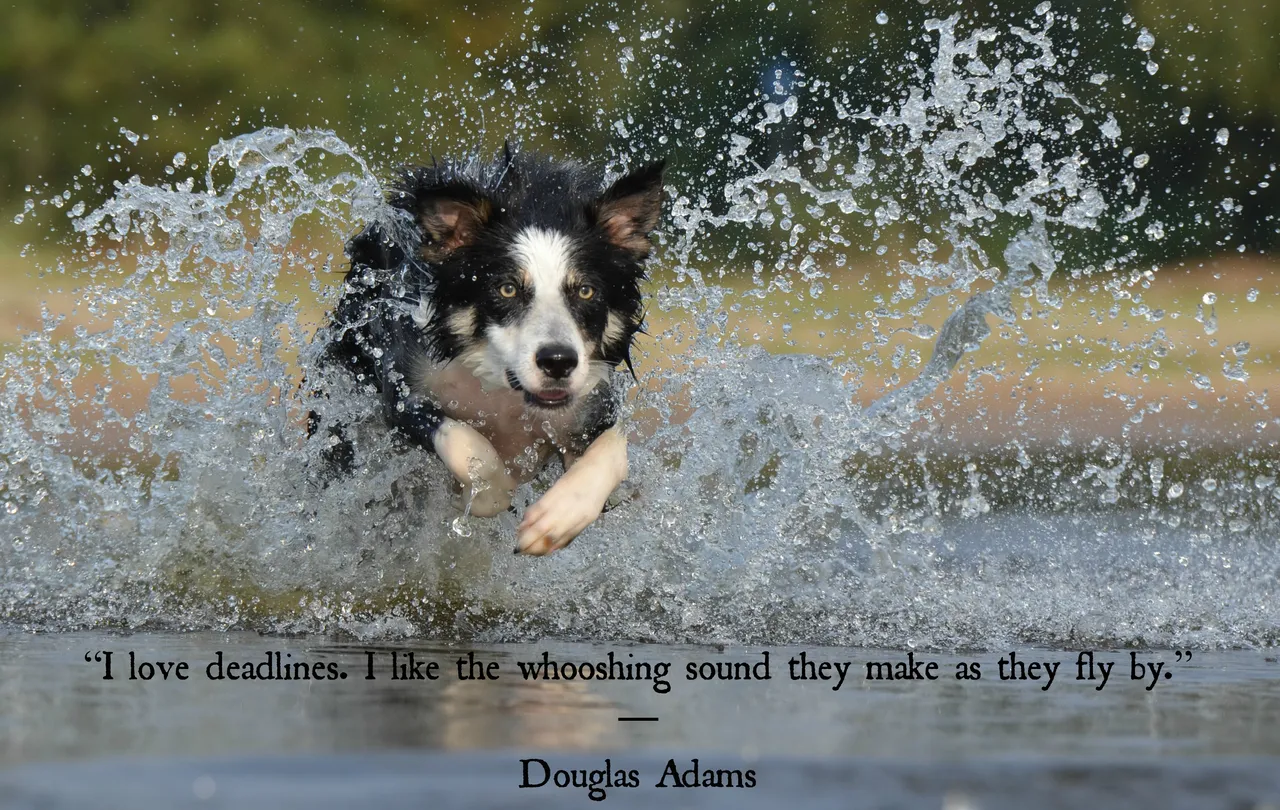 Douglas Adams quote 1.jpg