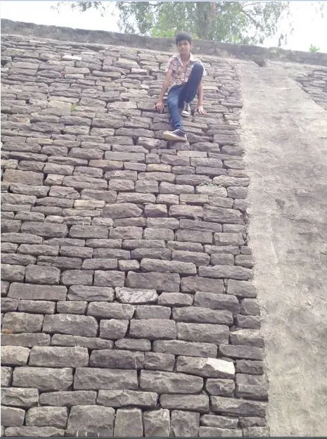is it wall or earth.JPG