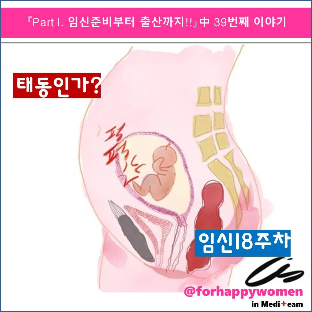 타이틀.jpg