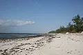 120px-Watamu_Beach,_Kenya.JPG