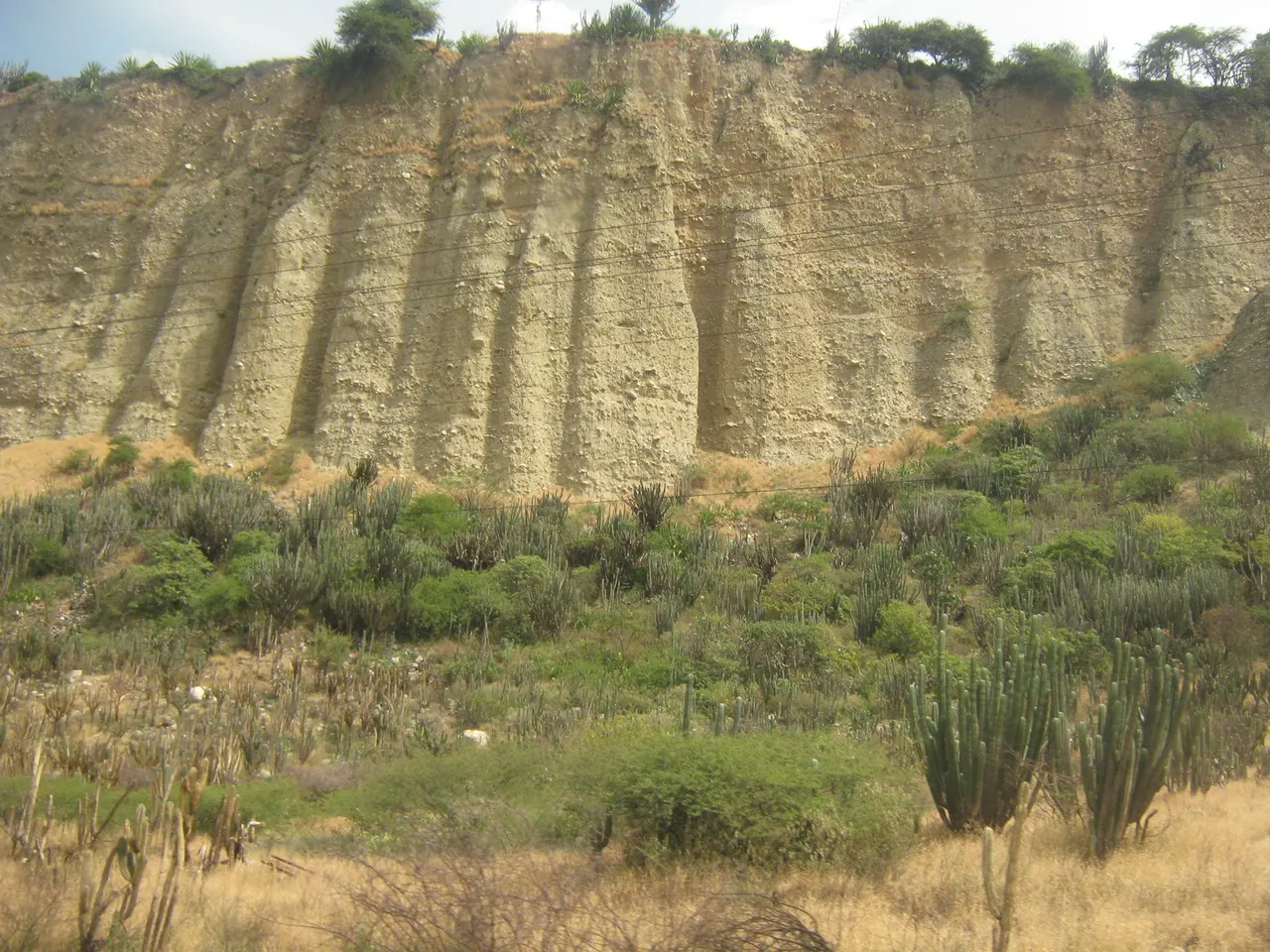 MERIDA JULIO 2012 208.JPG