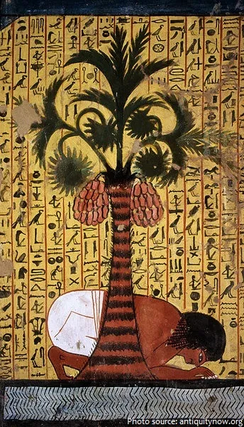 ancient-egyptian-palm-trees.jpg