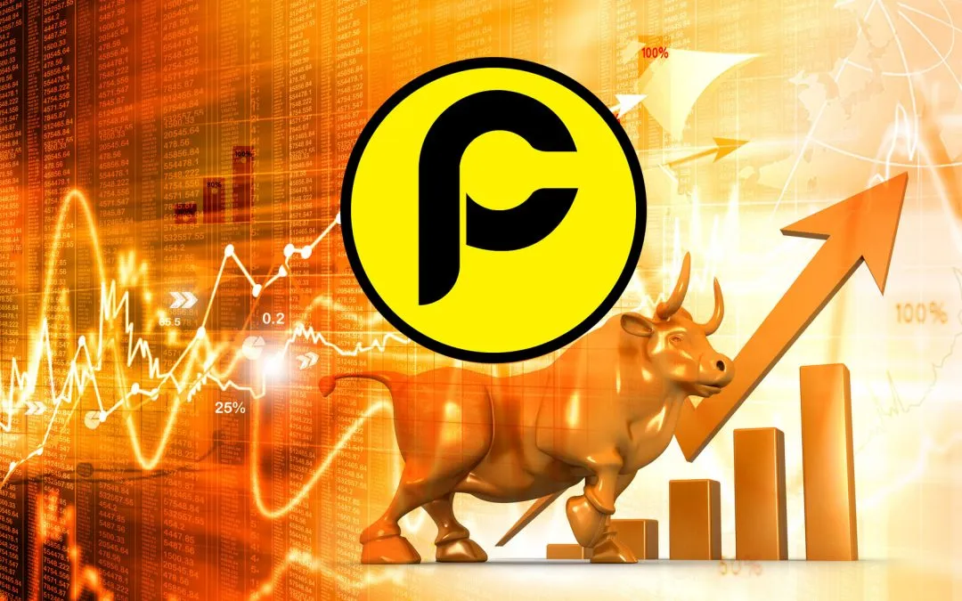 bullmarket_paccoin-1080x675.jpg