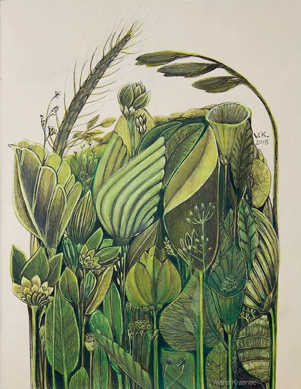 Vesna Krasnec - Wiese.jpg