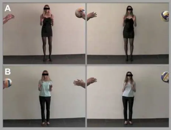 objectified-women-ball-game.jpg
