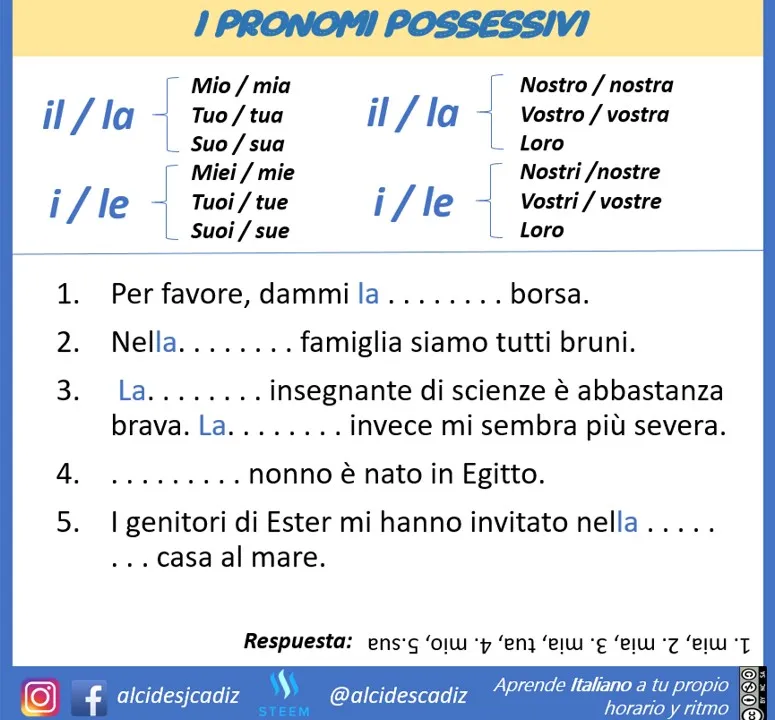 MICROLEZIONEJPG057pronomi03.jpg