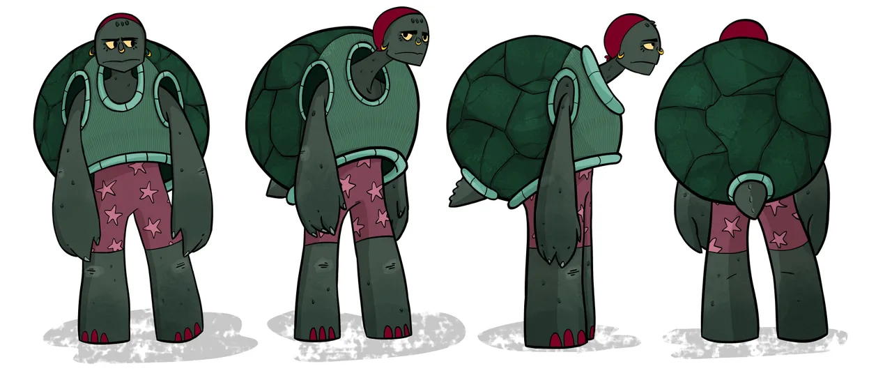 Turtle Turnaround_smaller.jpg