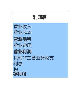 利润表.png