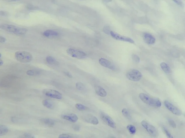 dogcardiacmuscle-400XMAGJPG.jpg
