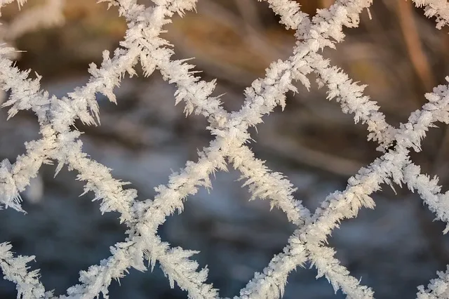 winter frost on fence.jpg