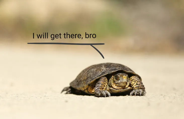 capital-preservation-turtle.png