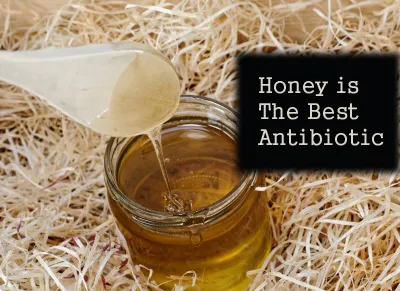 fdp_dan-honey-ID-10047793-1.jpg