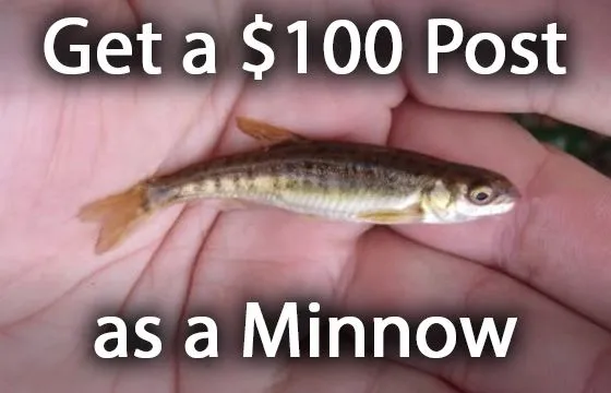 $100 Minnow Post v2.jpg