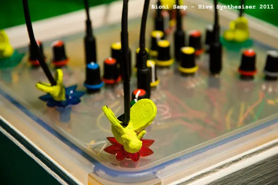 bioni_samp-hive_synthesiser.jpg