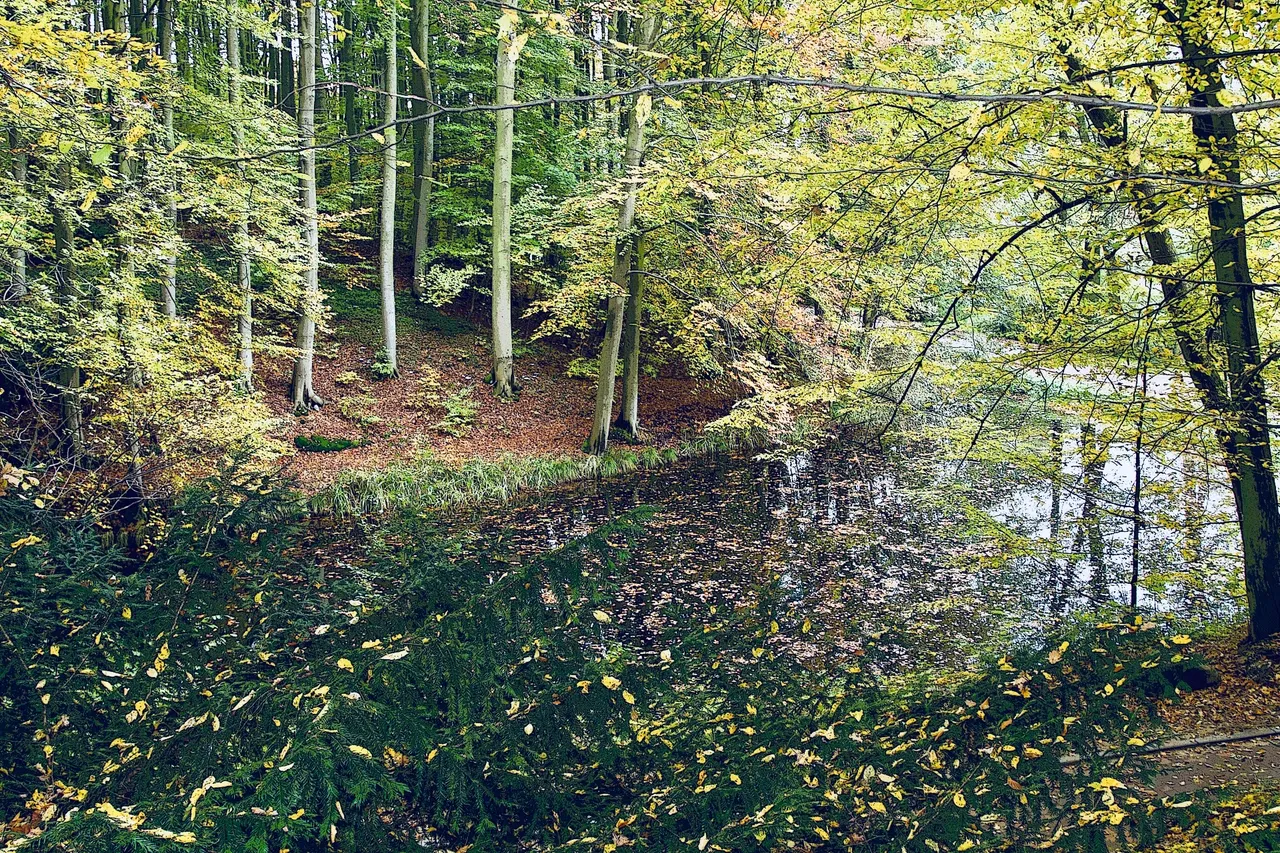 barwy-jesieni-1508704060Kbv.jpg