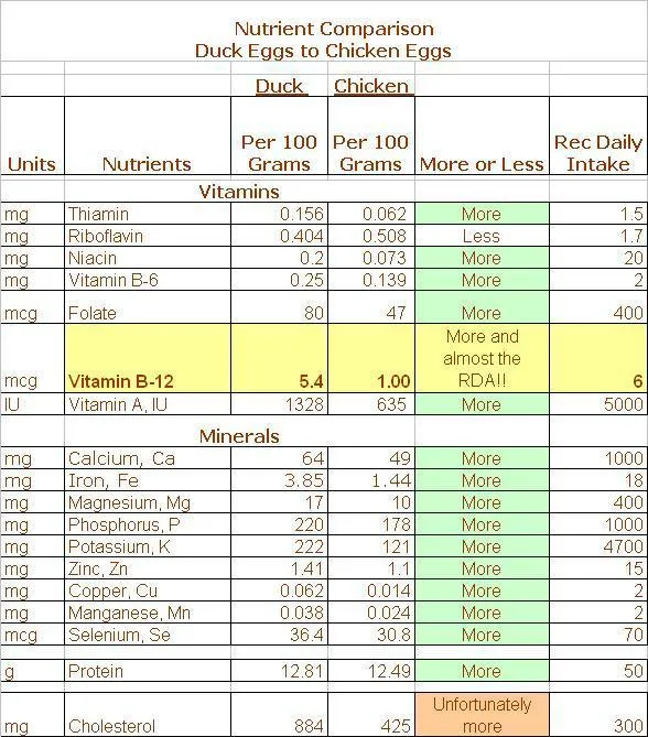 duck-nutritional-comparison.jpg