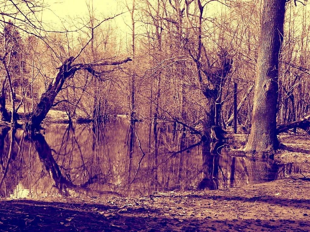 red-retrovintage-trees-pond.jpg