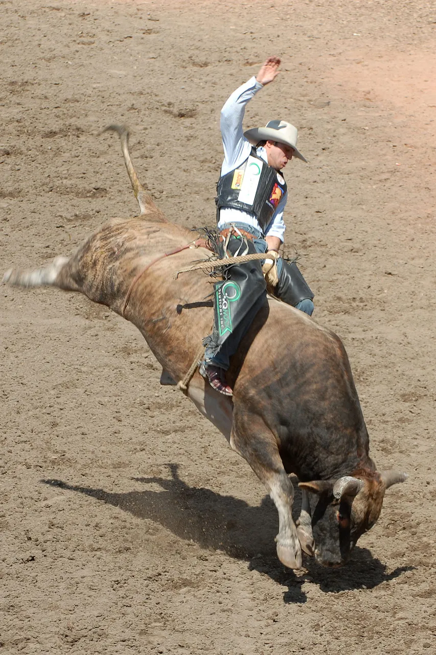 1200px-Bull-Riding2-Szmurlo.jpg