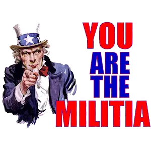 you-are-the-militia-300x300.png