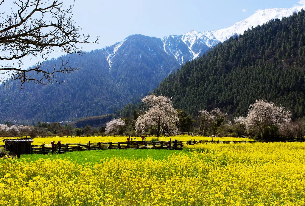 Adventures in Tibet 5.jpg
