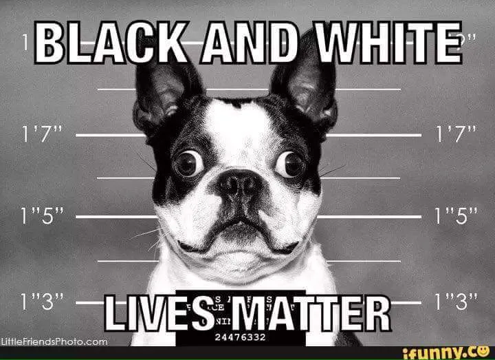 black and white lives.jpg