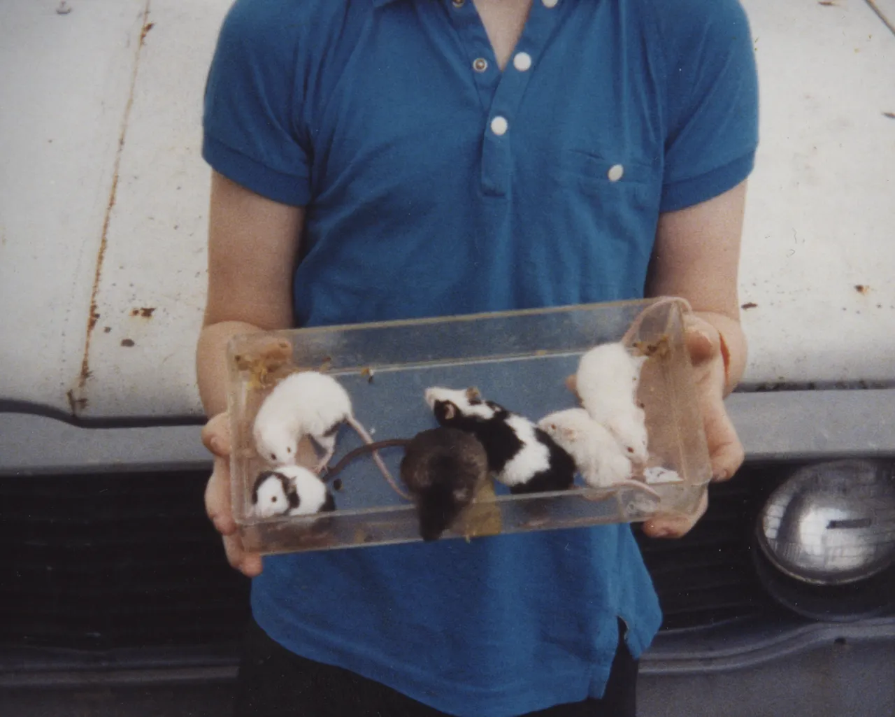 1999 apx Joey & Cow Mouse & 5 other Mice at dad's white Toyota truck in Blue shirt.png