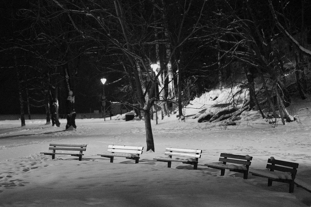 The Benches in Snow