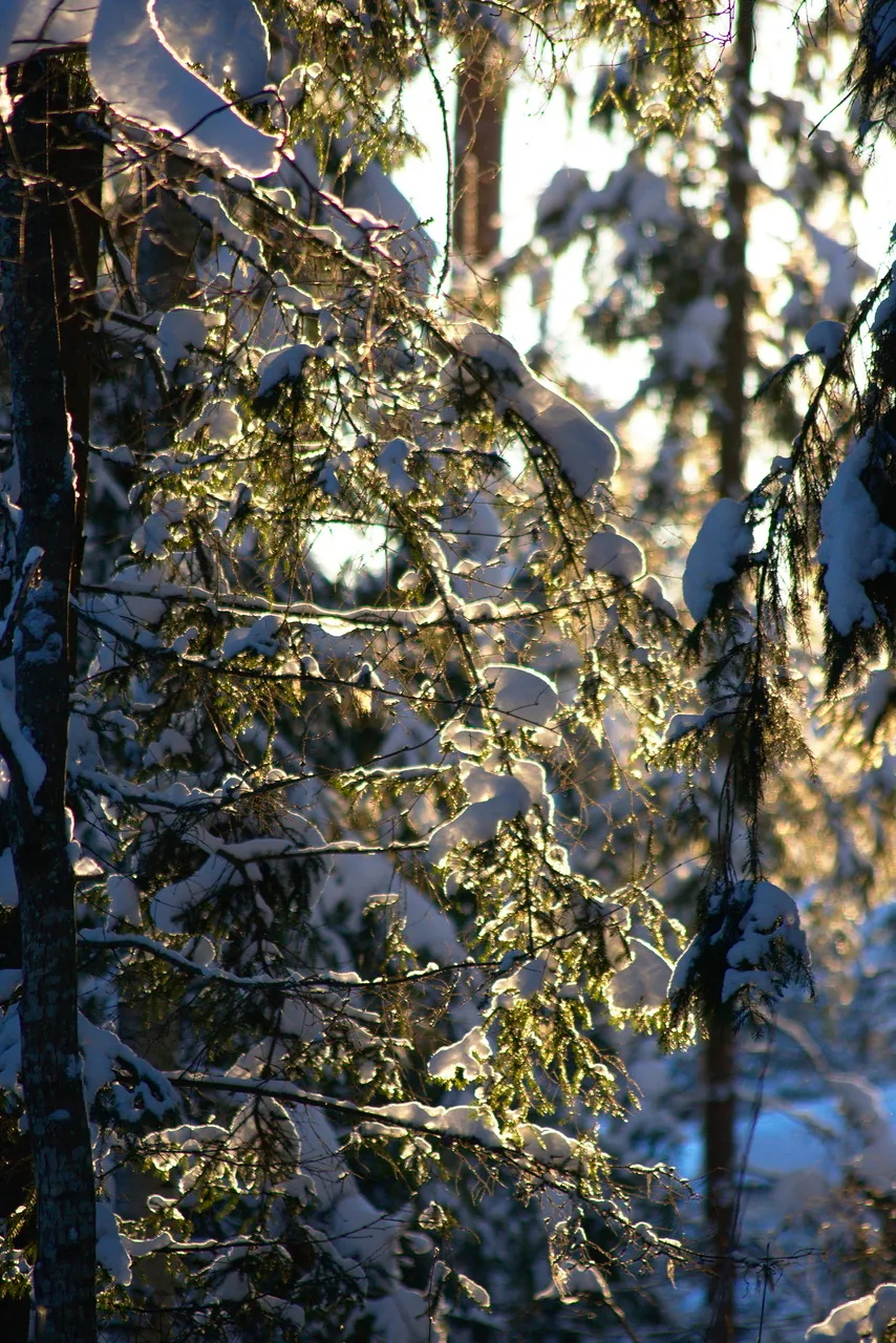 DSC_0743