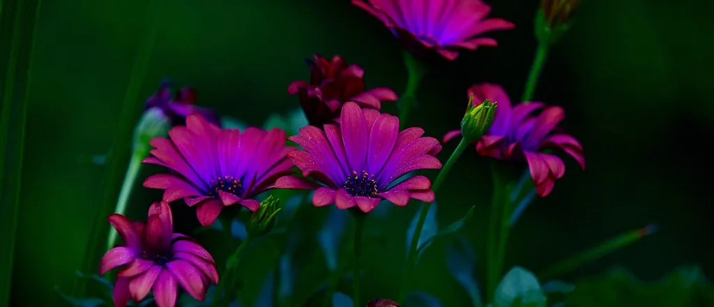 Flowers...70's neon style