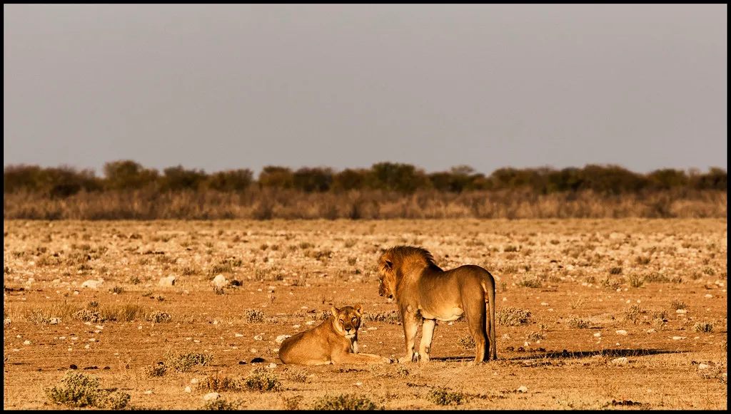 _SG_2016_05_Namibia_0053_IMG_0320