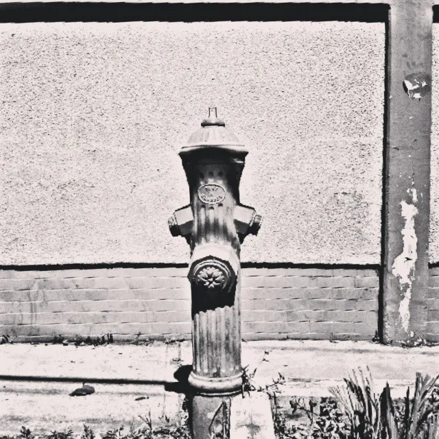 "Adornos".