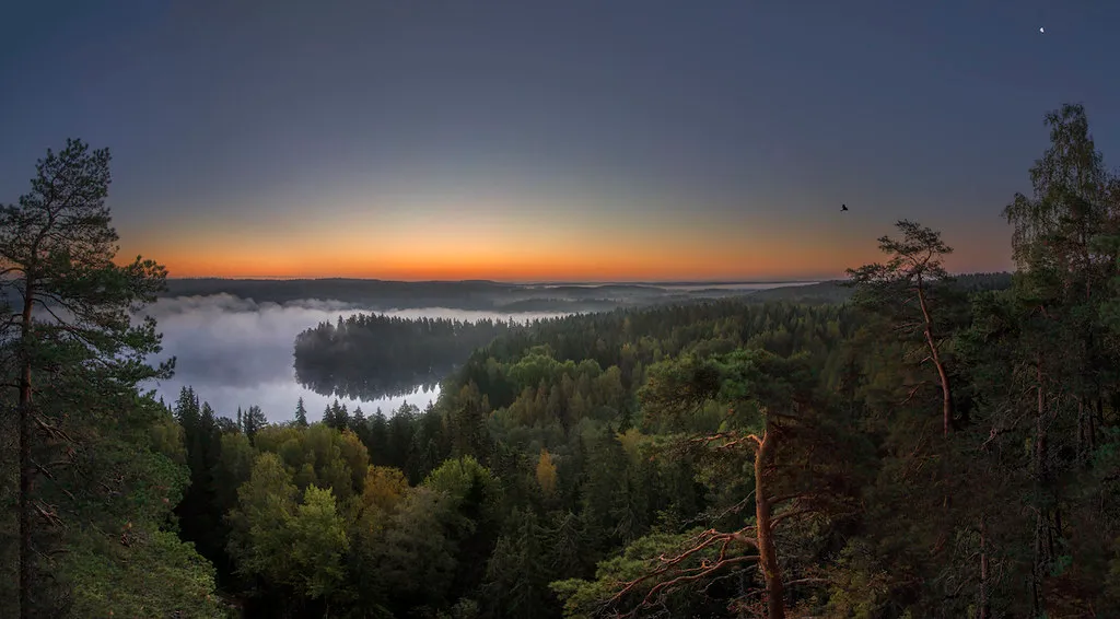 Early Morning Symphony