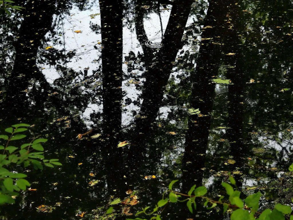Dark reflections