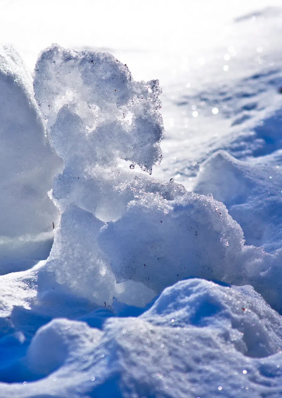 DSC_0853