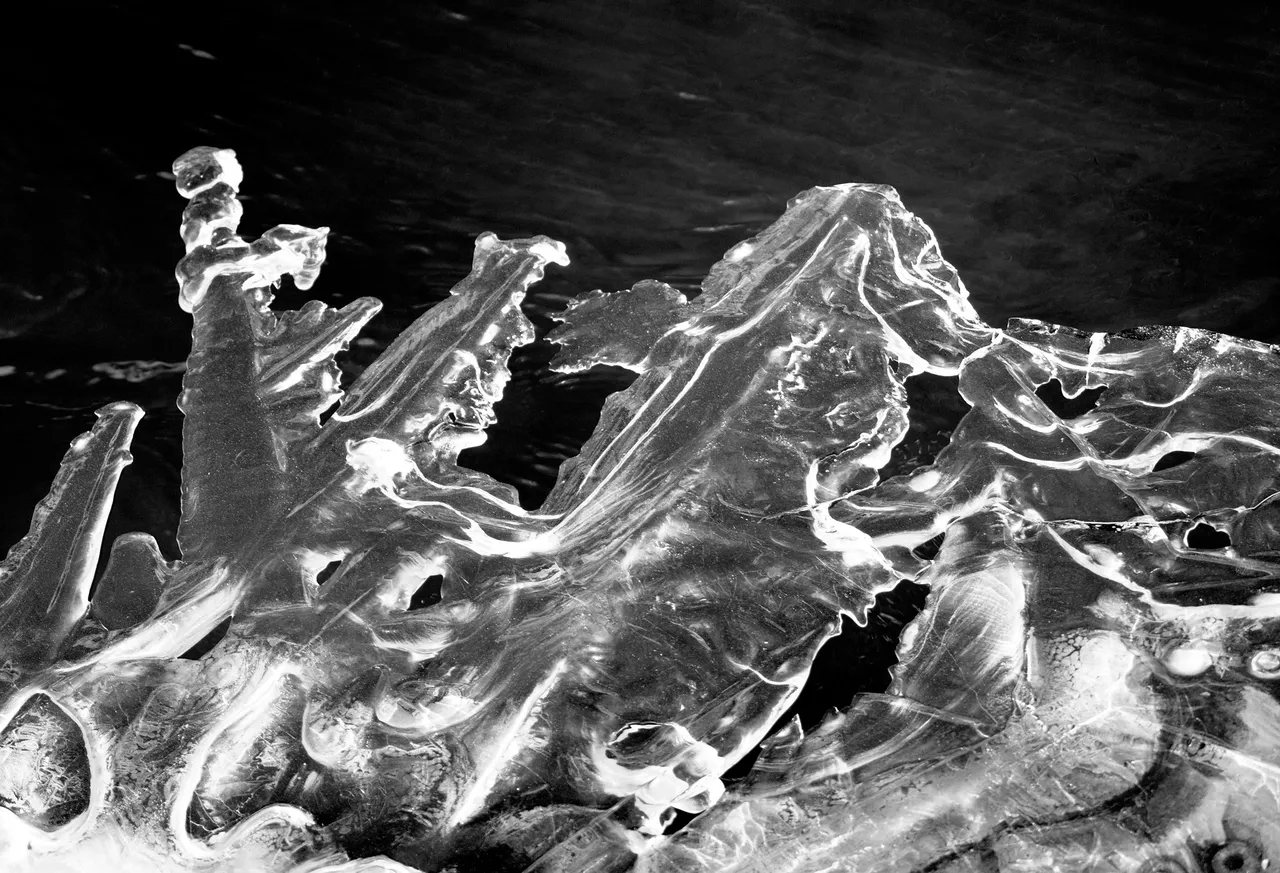 DSC_0860