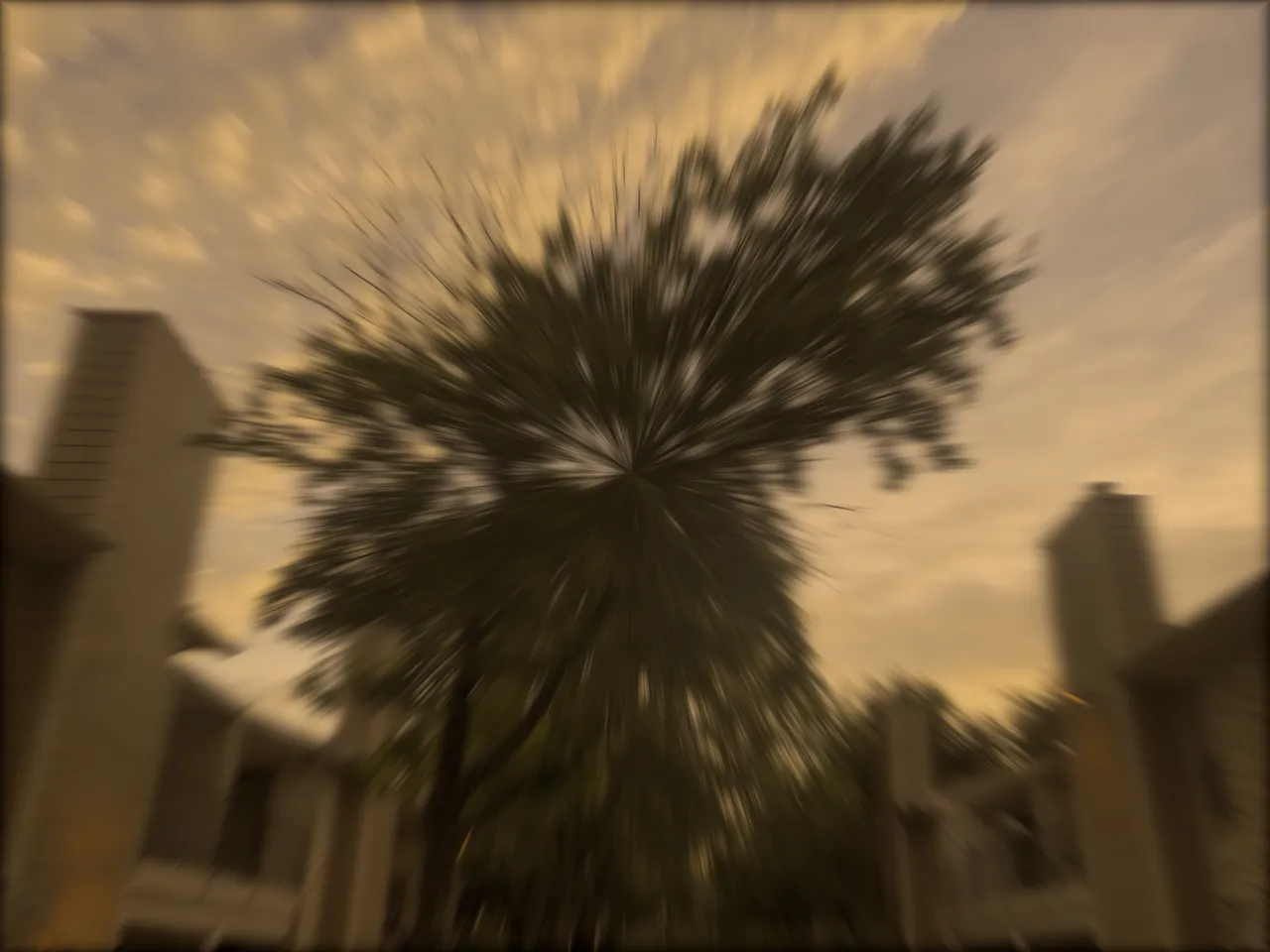3 1.png