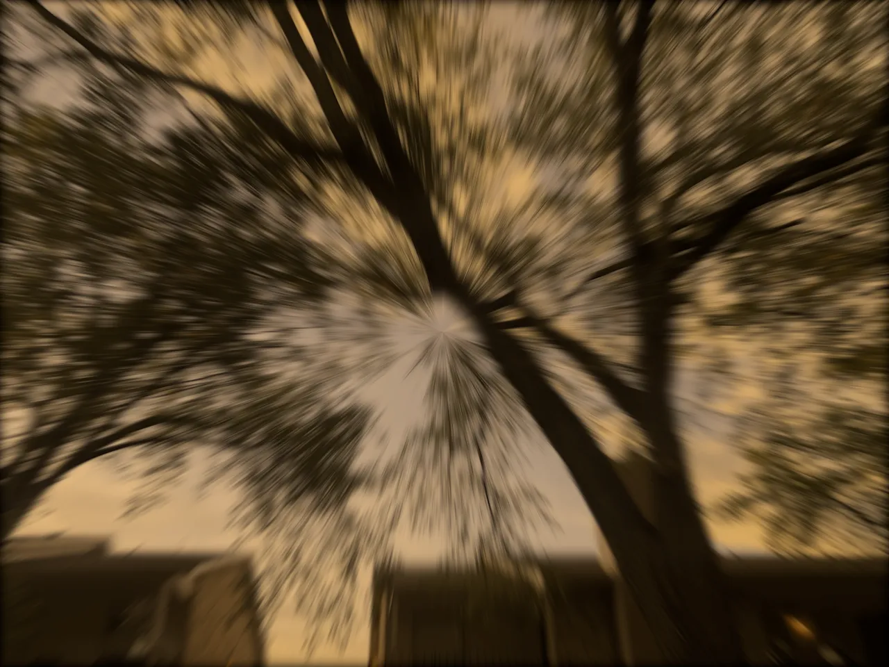 2 2.png