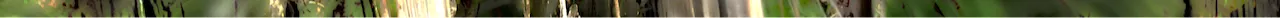 d 2.png