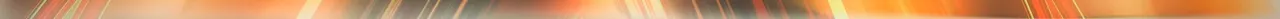 l3.jpeg