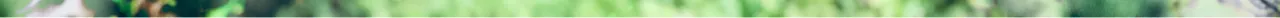 e 1.png