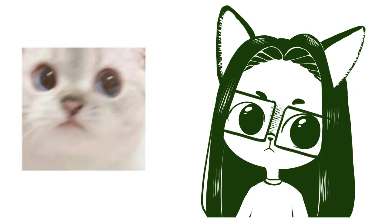 c4.jpg