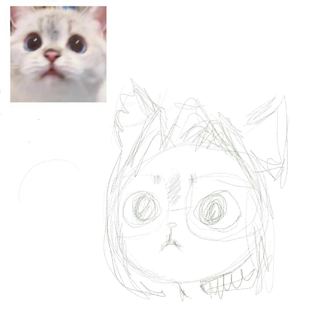 5a.png