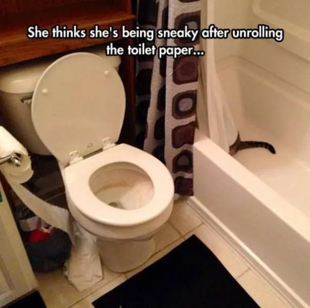 This_makes_me_laugh_all_day_28_6