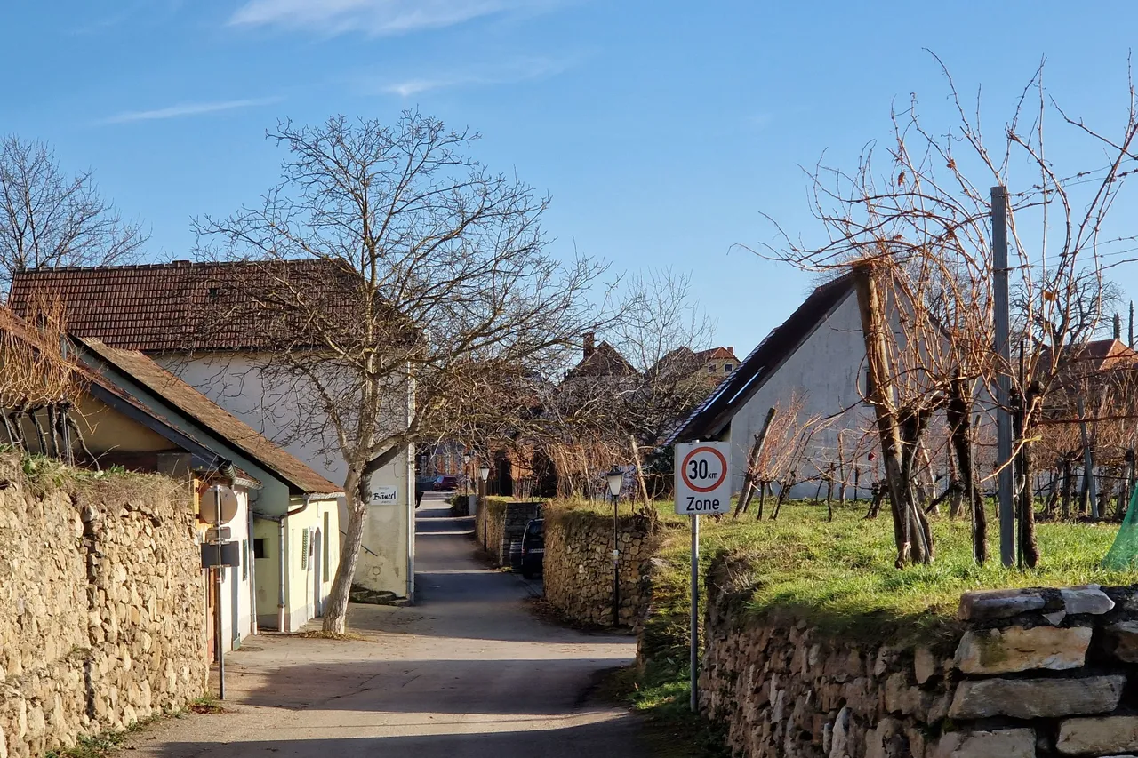 Cellar alley