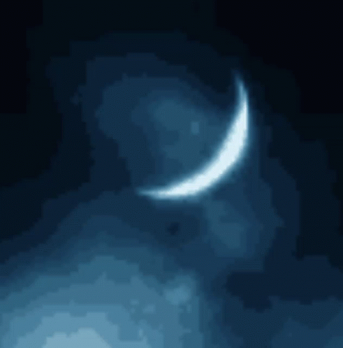 untitled.gif