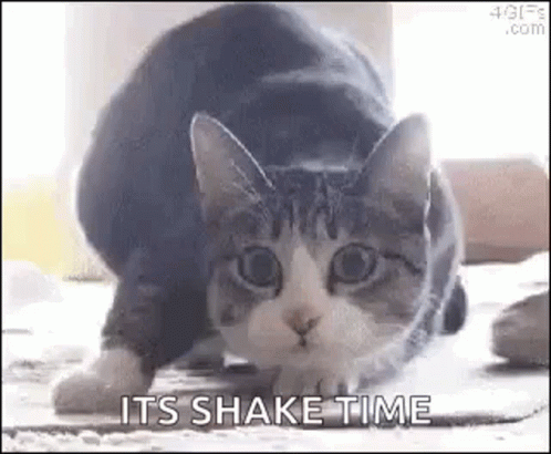 untitled.gif