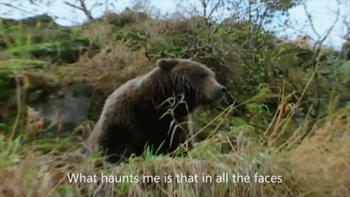untitled.gif