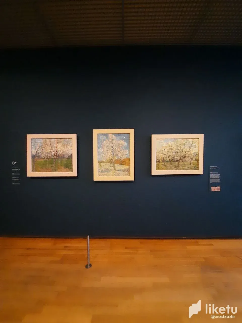 Vincent Van Gogh paintings/Картини Вінсента Ван Гога (UA/EN)